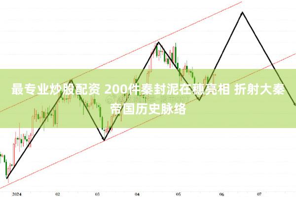 最专业炒股配资 200件秦封泥在穗亮相 折射大秦帝国历史脉络