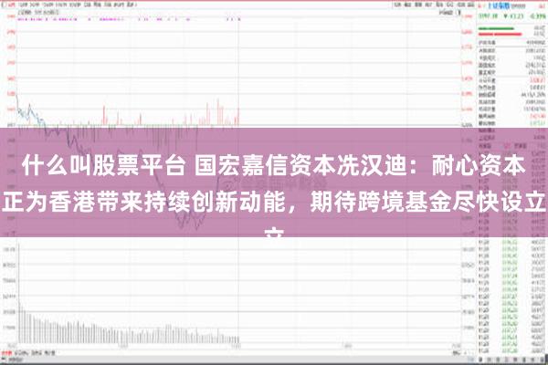什么叫股票平台 国宏嘉信资本冼汉迪：耐心资本正为香港带来持续创新动能，期待跨境基金尽快设立