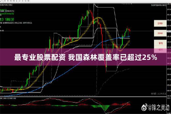 最专业股票配资 我国森林覆盖率已超过25%