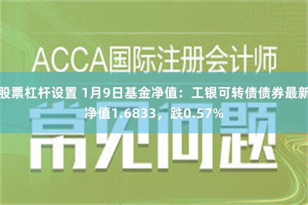 股票杠杆设置 1月9日基金净值：工银可转债债券最新净值1.6833，跌0.57%