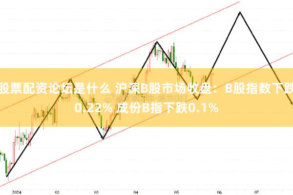 股票配资论坛是什么 沪深B股市场收盘：B股指数下跌0.22% 成份B指下跌0.1%